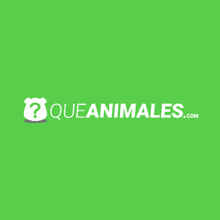 (c) Queanimales.com