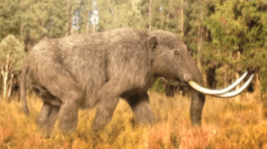 que mamiferos grandes cazaban los primeros humanos